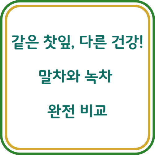 말차와 녹차 차이점