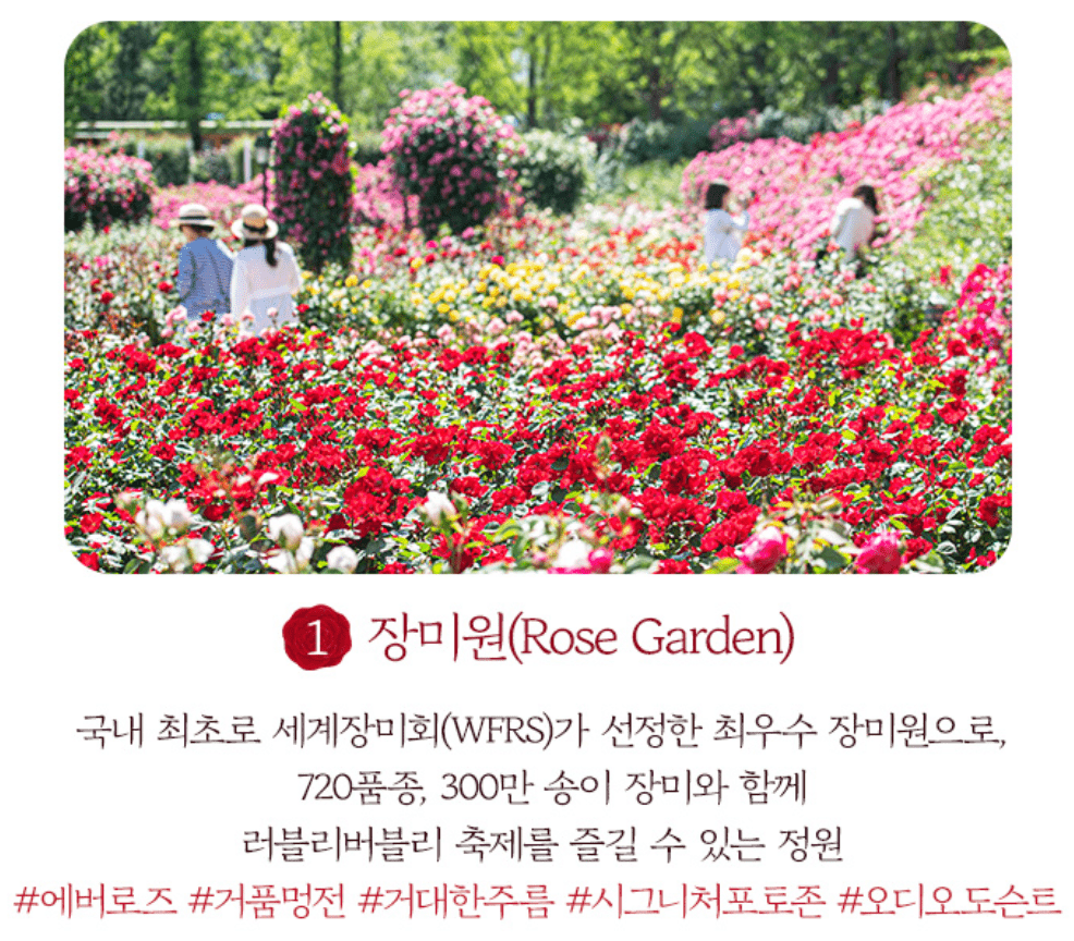 에버랜드 장미축제 입장료 가든패스 할인 기간 주차장 꿀팁