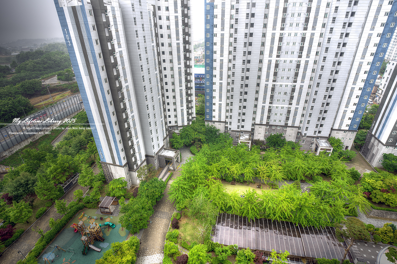 #녹색 #아파트 #나무 #청주 #오창 #오창대성베르힐