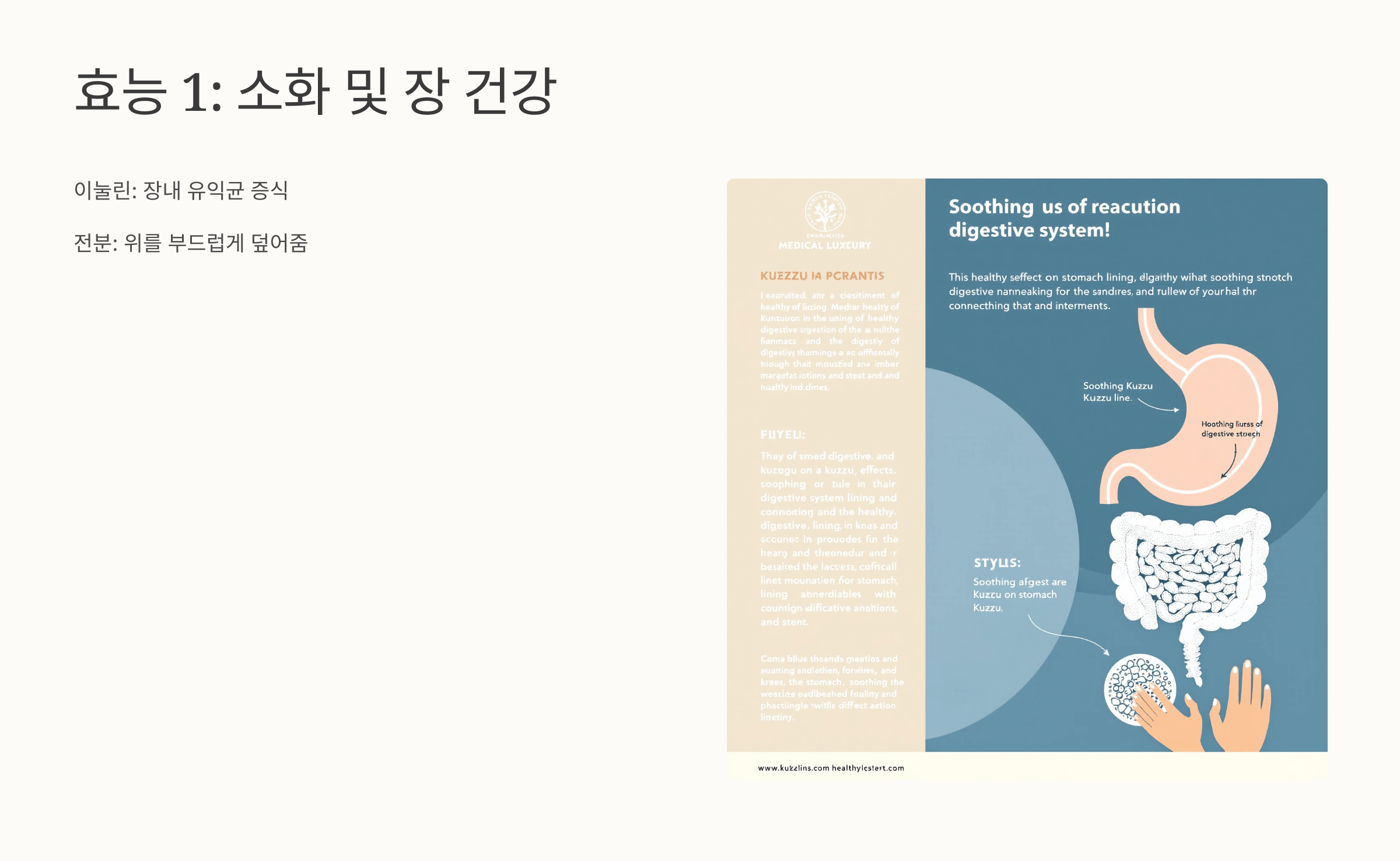 칡즙 사진입니다.