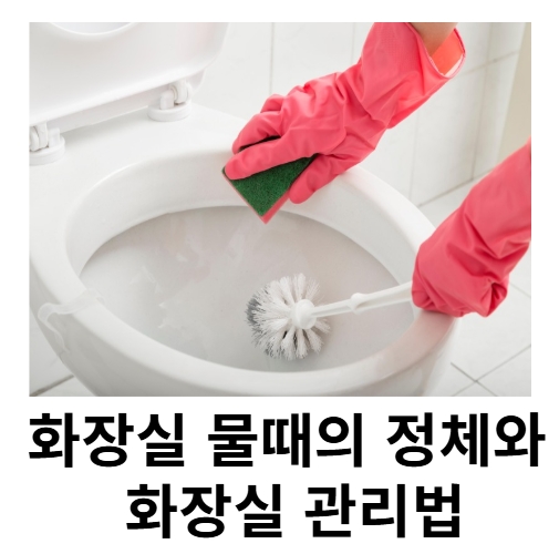 화장실 물때의 정체와 화장실 관리법 청소사진