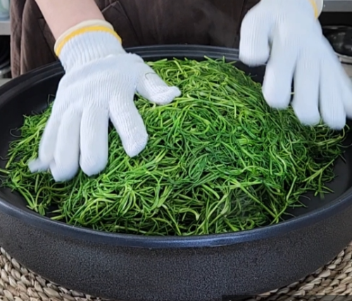 세발나물차 만들기 제철나물 수제차 건강음료