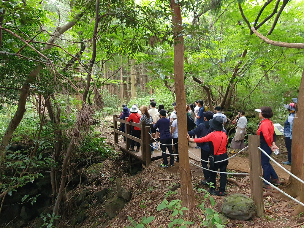 거문오름 분화구 탐방