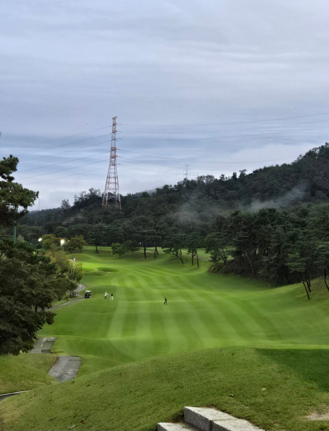인코스 페어웨이 전경