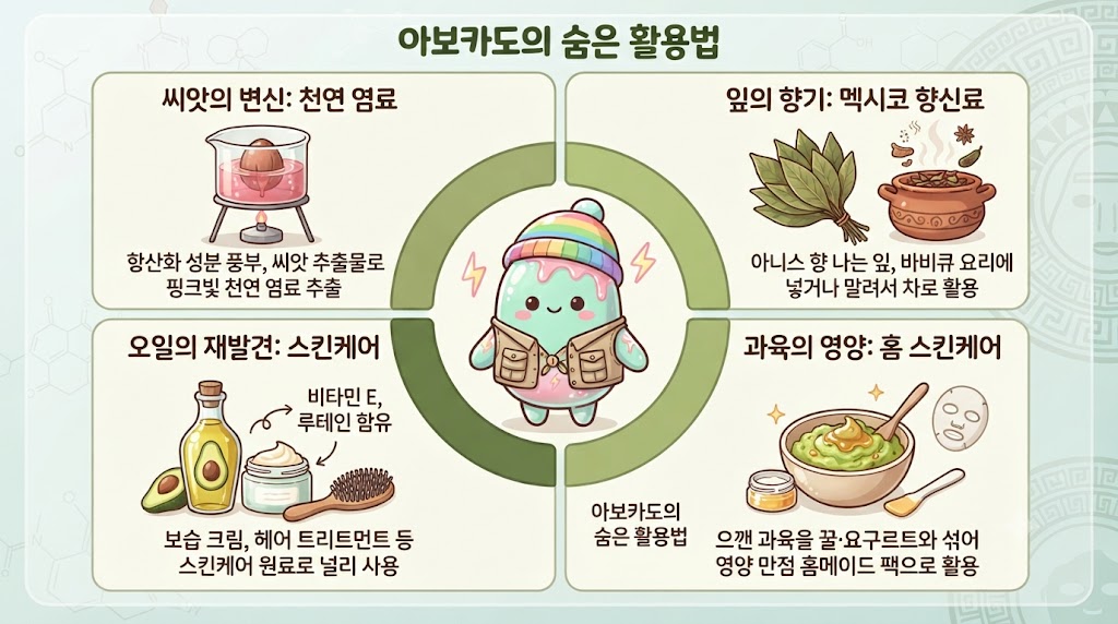 쫀쿠의 디저트 연구소, 이번엔 먹는 것 너머의 아보카도 활용법을 탐구합니다! 아보카도 씨앗에서 추출한 핑크빛 천연 염료, 멕시코 요리의 향신료로 쓰이는 잎, 스킨케어 원료로 각광받는 오일, 그리고 과육을 이용한 홈메이드 팩까지 &mdash; 아보카도의 놀랍고 다양한 변신을 한눈에 볼 수 있는 인포그래픽입니다. 각 항목의 핵심 정보가 귀여운 일러스트와 함께 정리되어 있습니다.