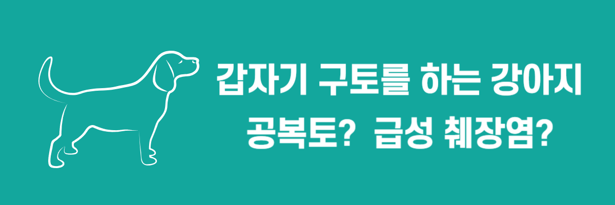 구토하는 강아지는 공복토일까 급성 췌장염일까?
