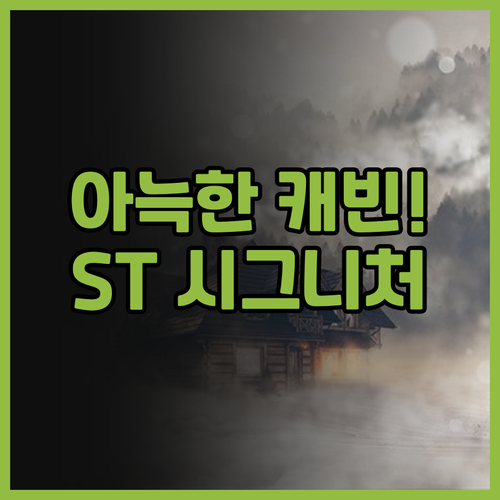 ST 시그니처 탄종 파가르 추천 조용..