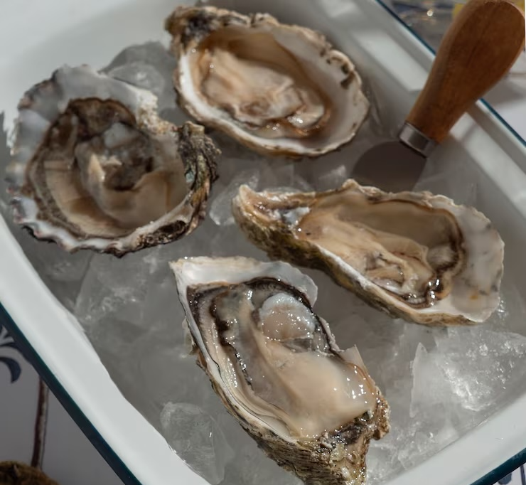 굴의 효능과 부작용