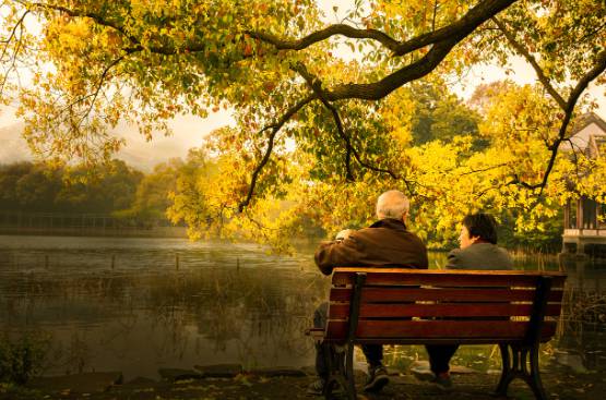 주택연금 가입조건, 월 지급액 완벽정리