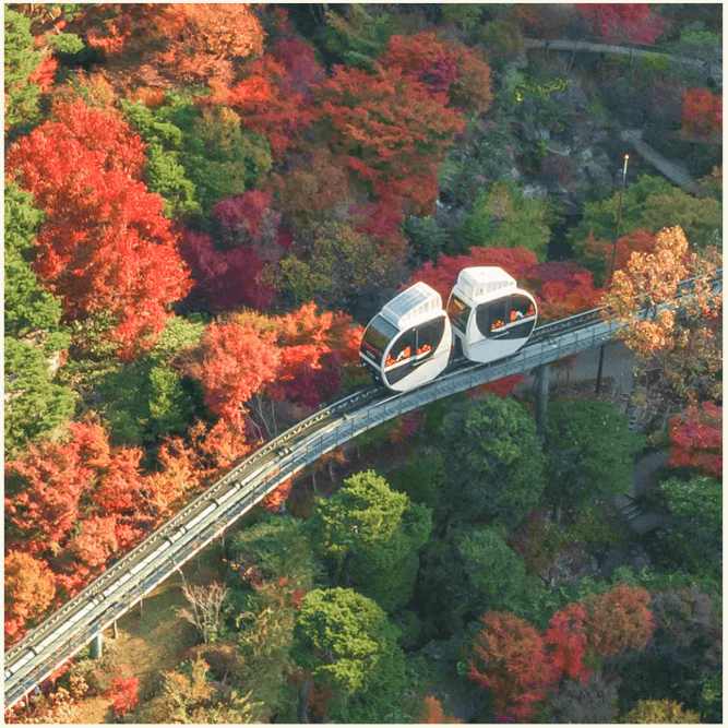 화담숲 모노레일