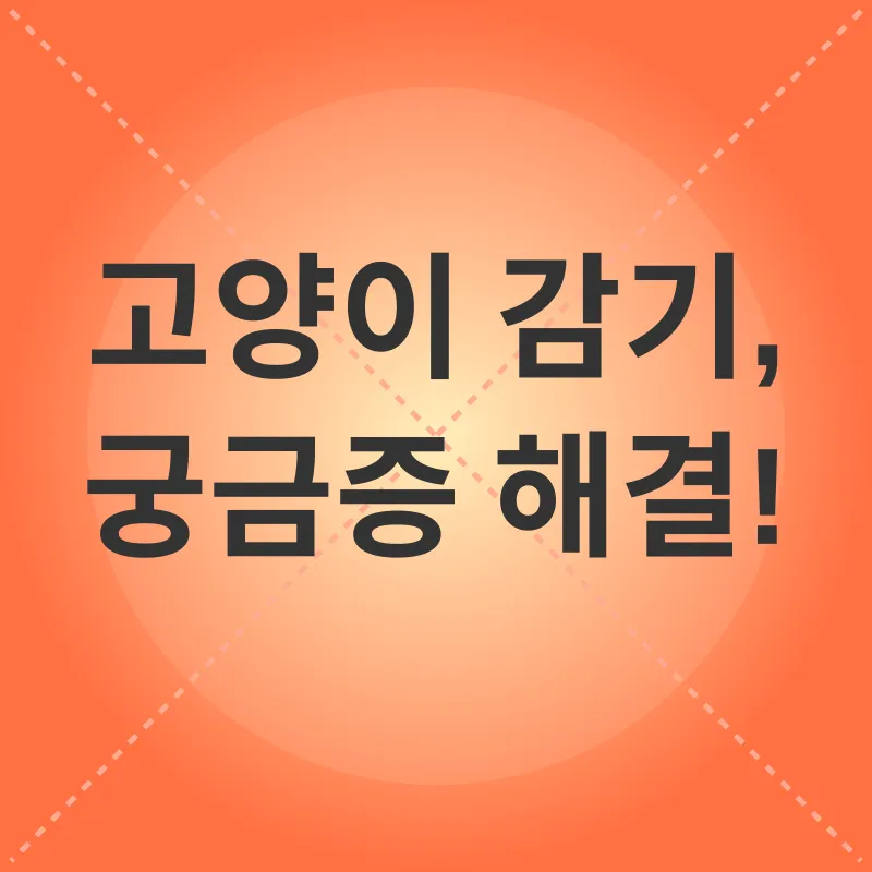 고양이 감기_4