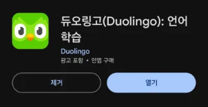 듀오링고 언어학습 어플