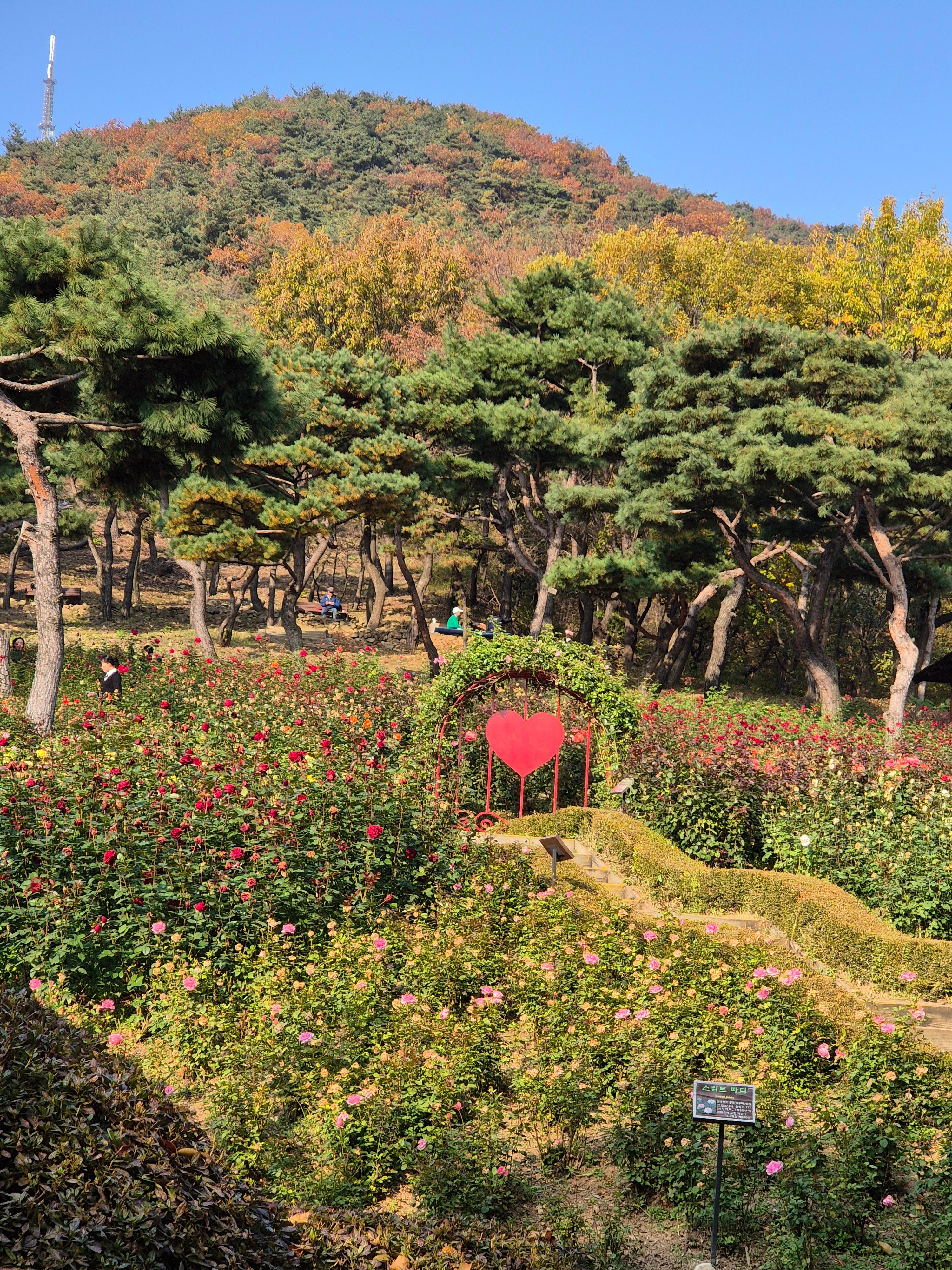 계양산 인천둘레길 내려오는 길