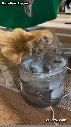 img.webp?credential=yqXZFxpELC7KVnFOS48ylbz2pIh7yKj8&expires=1767193199&allow_ip=&allow_referer=&signature=jNNQcypM0C4sBSVGynZvt%2Fzk750%3D