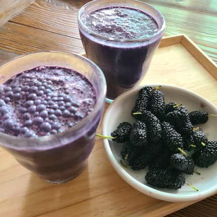 오디주스-만들기