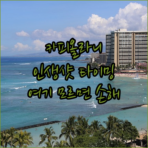 하와이 카피올라니 공원 스냅 촬영 시..