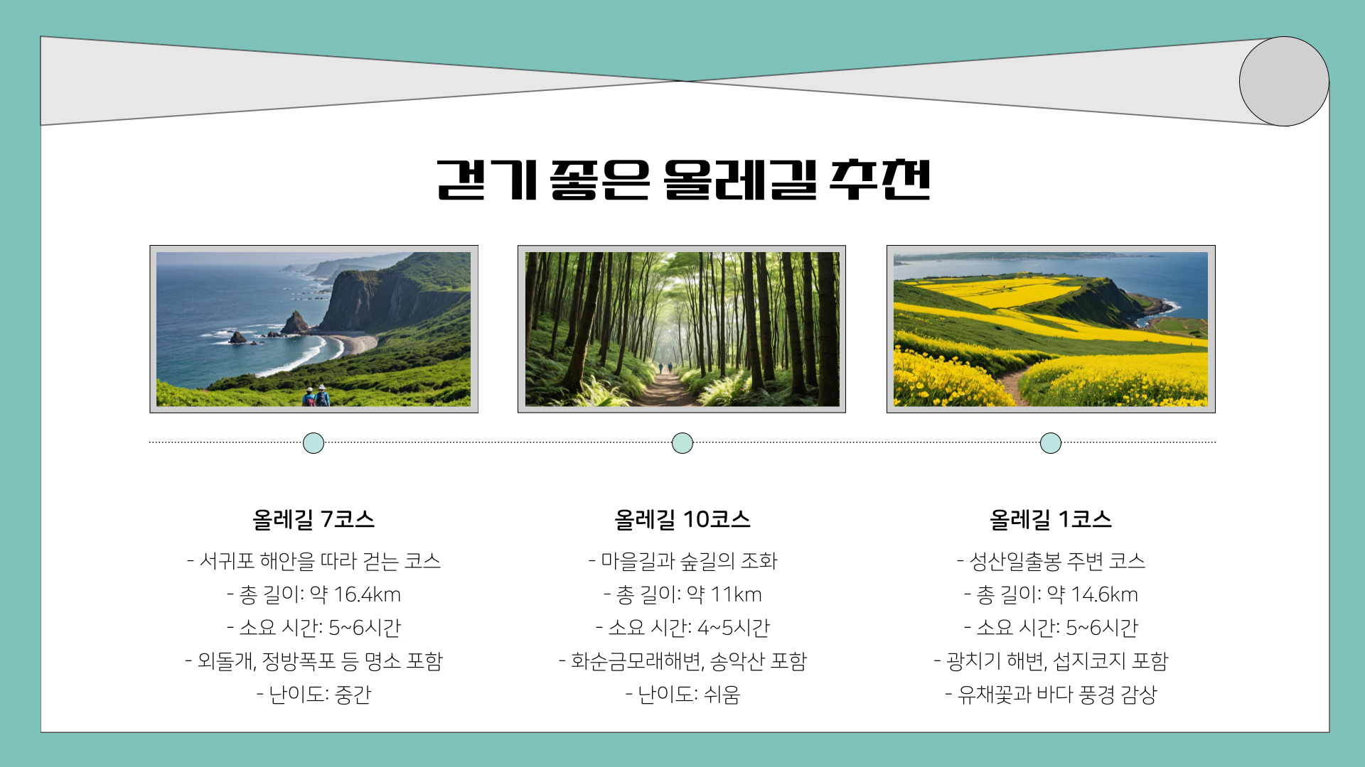 3월 제주도 가볼 만한 곳 10곳! 벚꽃, 유채꽃, 드라이브까지 완벽한 여행