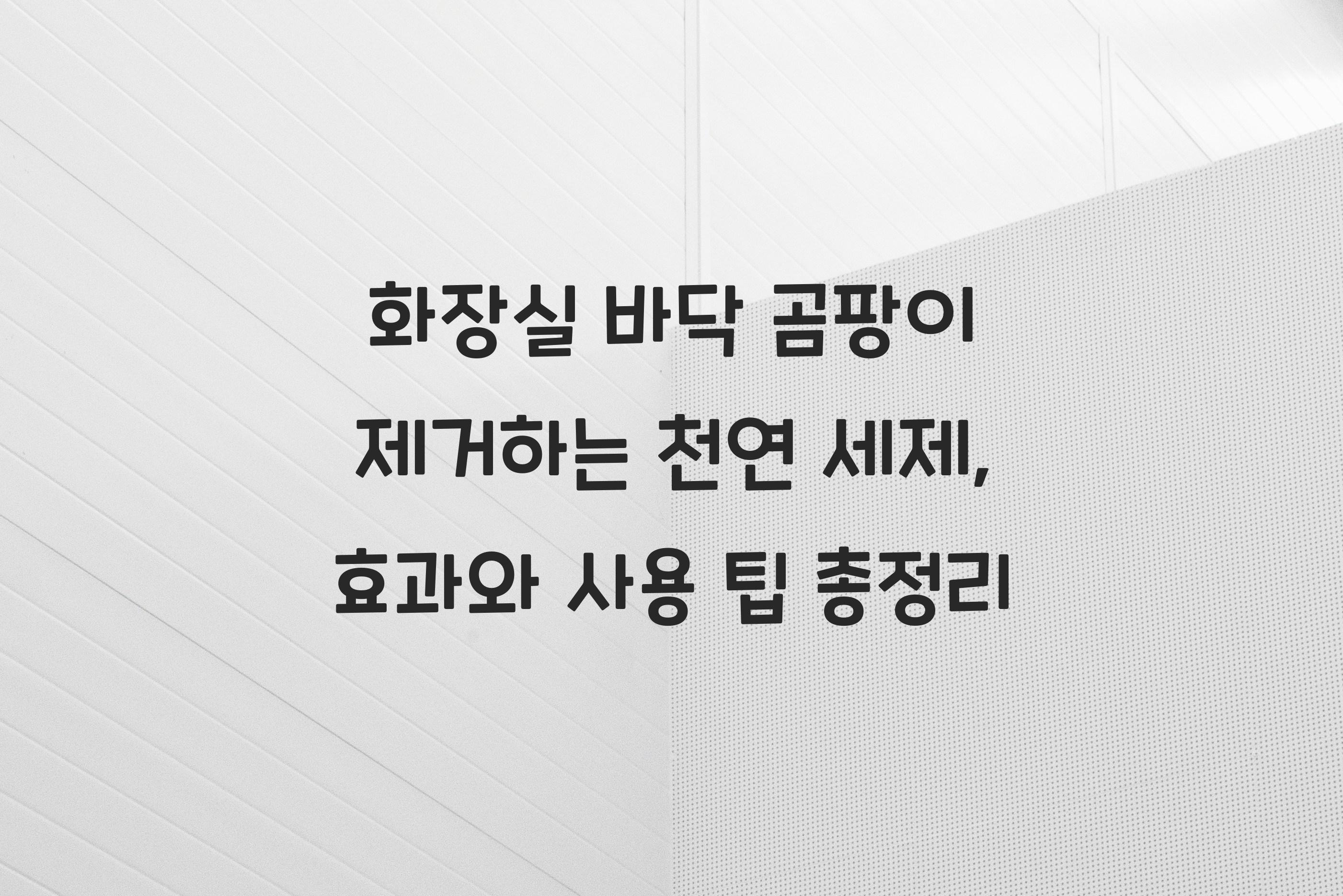 화장실 바닥 곰팡이 제거하는 천연 세제