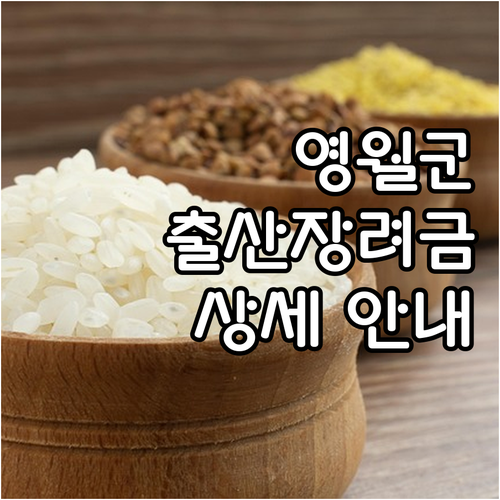 영월군 출산 장려금 2025: 첫째아..