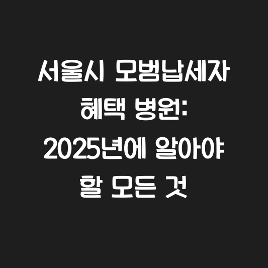 서울시 모범납세자 혜택 병원: 2025년에 알아야 할 모든 것 대표 이미지