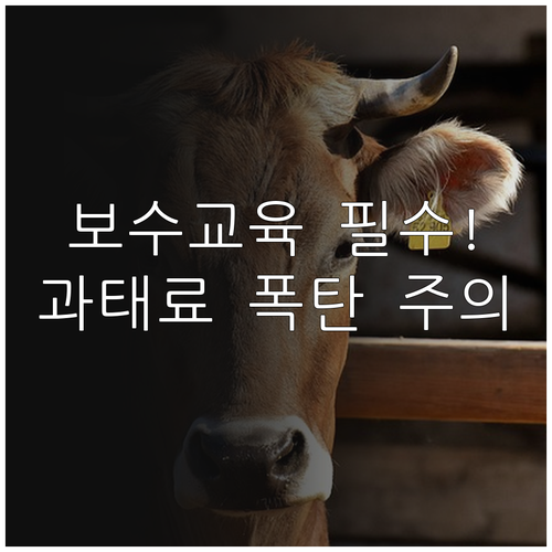 축산물 보수교육 주기와 미이수 과태료..