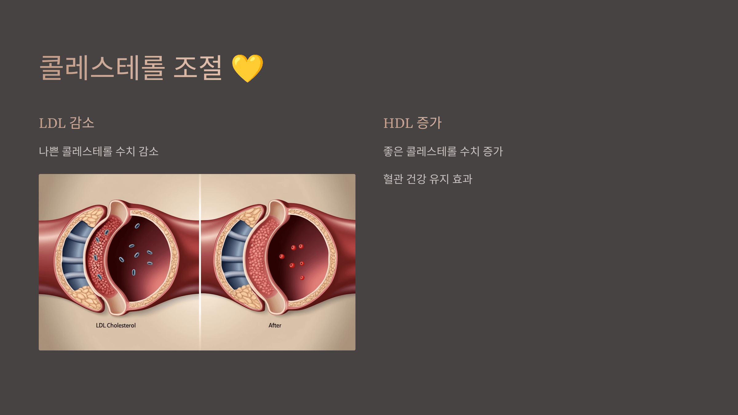 폴리페놀과 관련된 사진입니다.