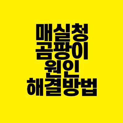 썸네일-매실청-곰팡이-원인-해결방법