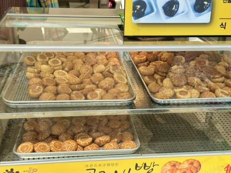 유구색동수국정원 수국축제