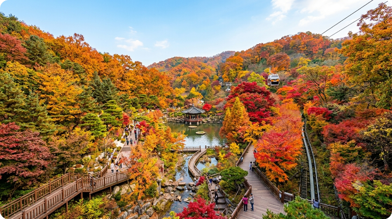 대한민국 명소 발굴 100X100 화담숲 이미지