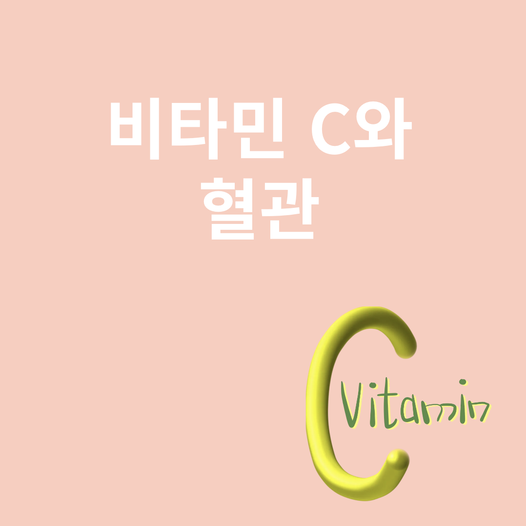 비타민C와 관련된 이미지