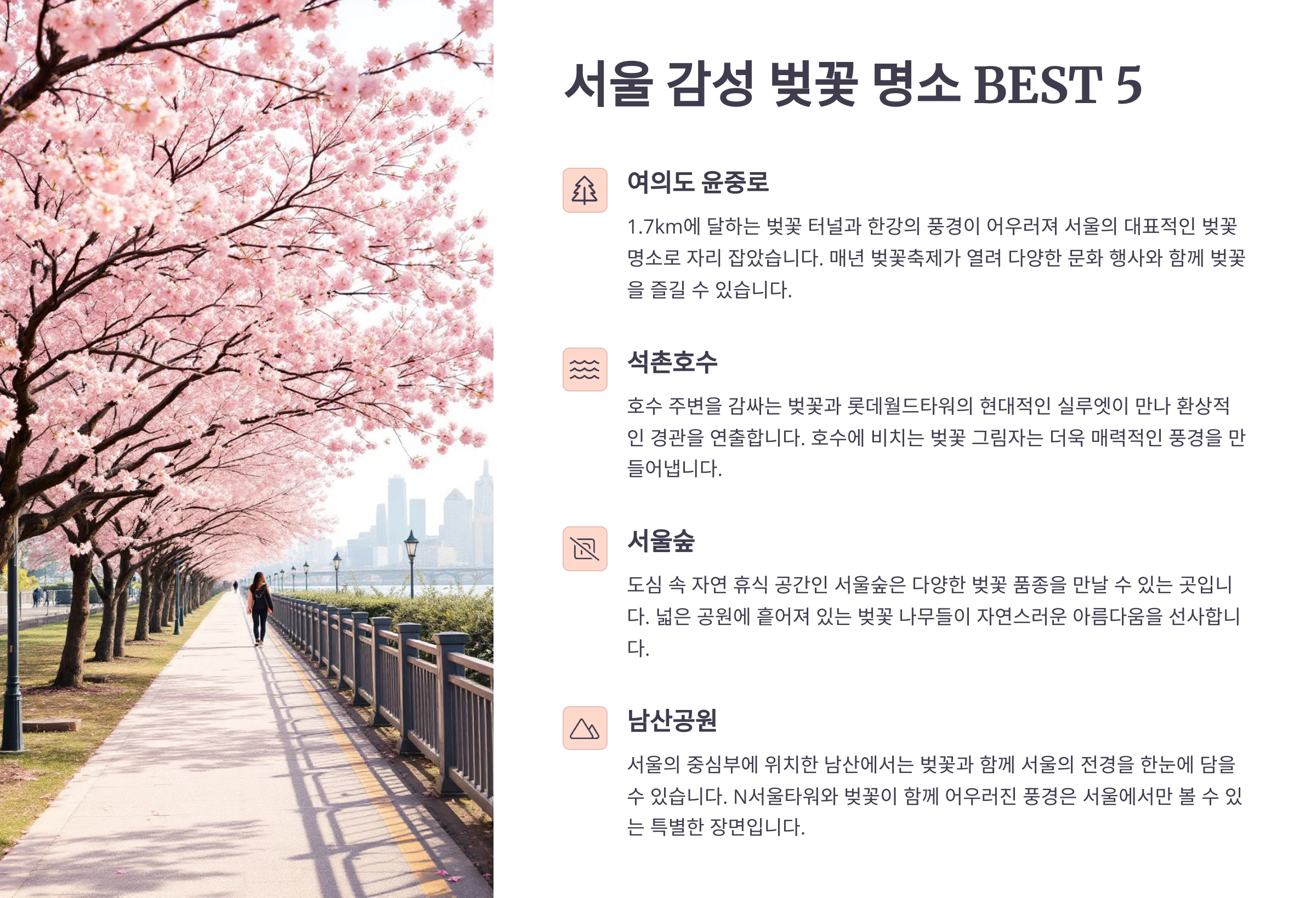 서울 감성 벚꽃 명소 BEST 5