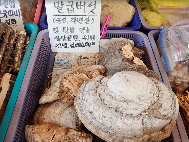 약초가게에-진열된-말굽버섯