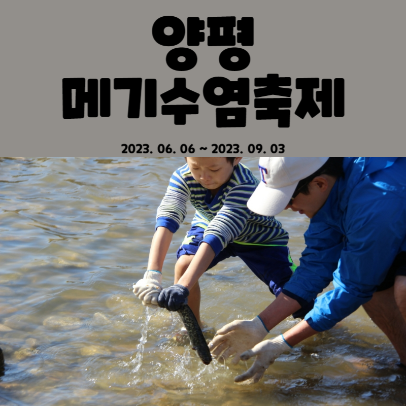 양평메기수염축제