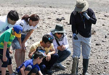 화성 뱃놀이 축제
