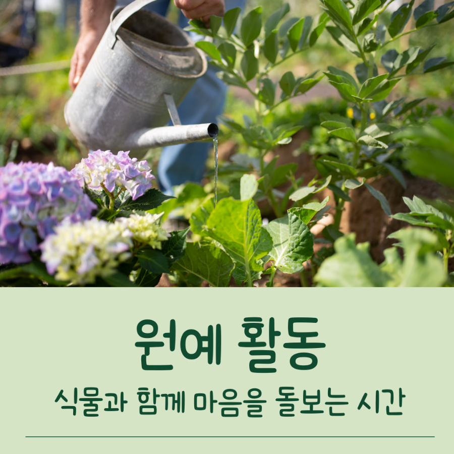 노인우울증 예방 활동 중 원예 활동 설명 _ 이미지