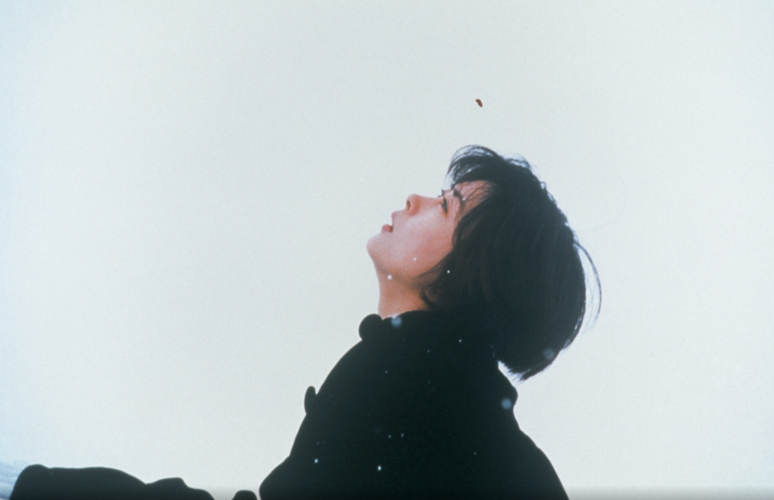 영화 러브레터 관련 사진