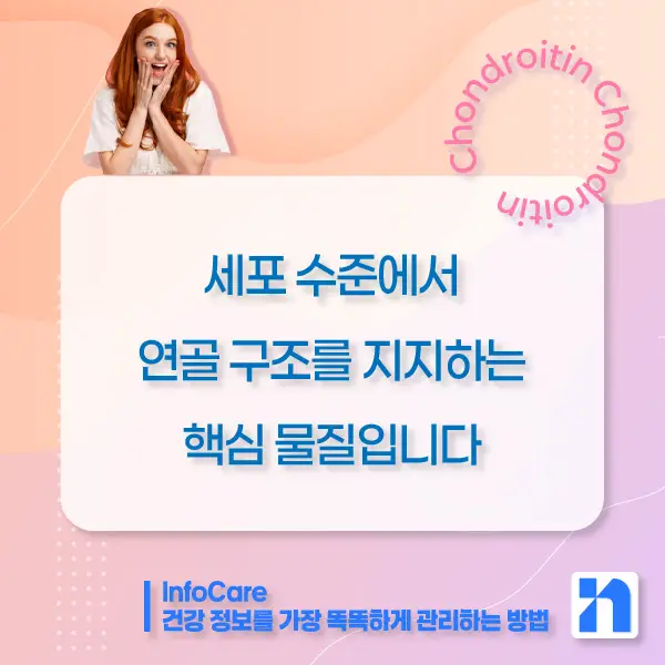 콘드로이친 효능, 복용방법