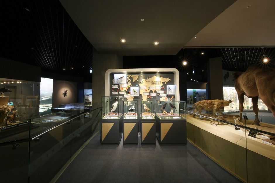 상주 가볼만한곳 베스트 10