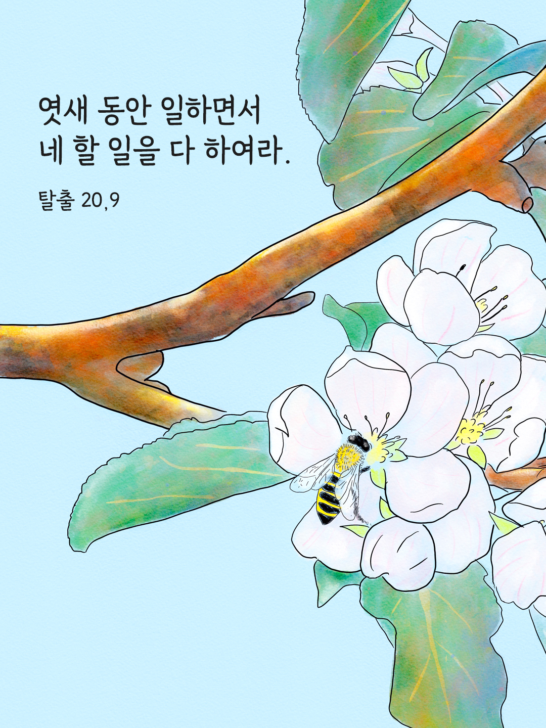 엿새 동안 일하면서 네 할 일을 다 하여라. (탈출 20&#44;9)