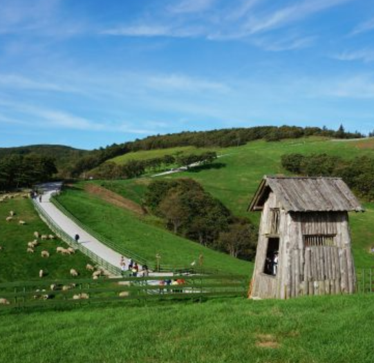 겨울 여행지 추천