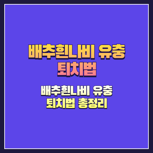 배추흰나비 유충 퇴치법 완벽 가이드