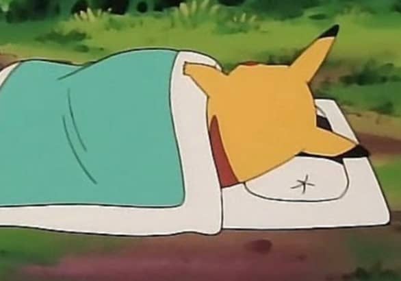 수면 취하는 모습