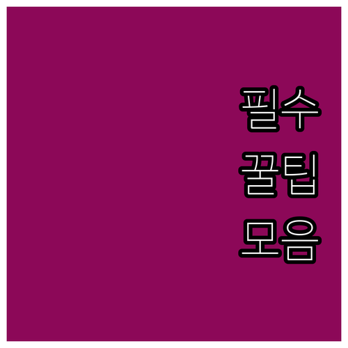 2025 속초 저소득 장학금 대상 금..