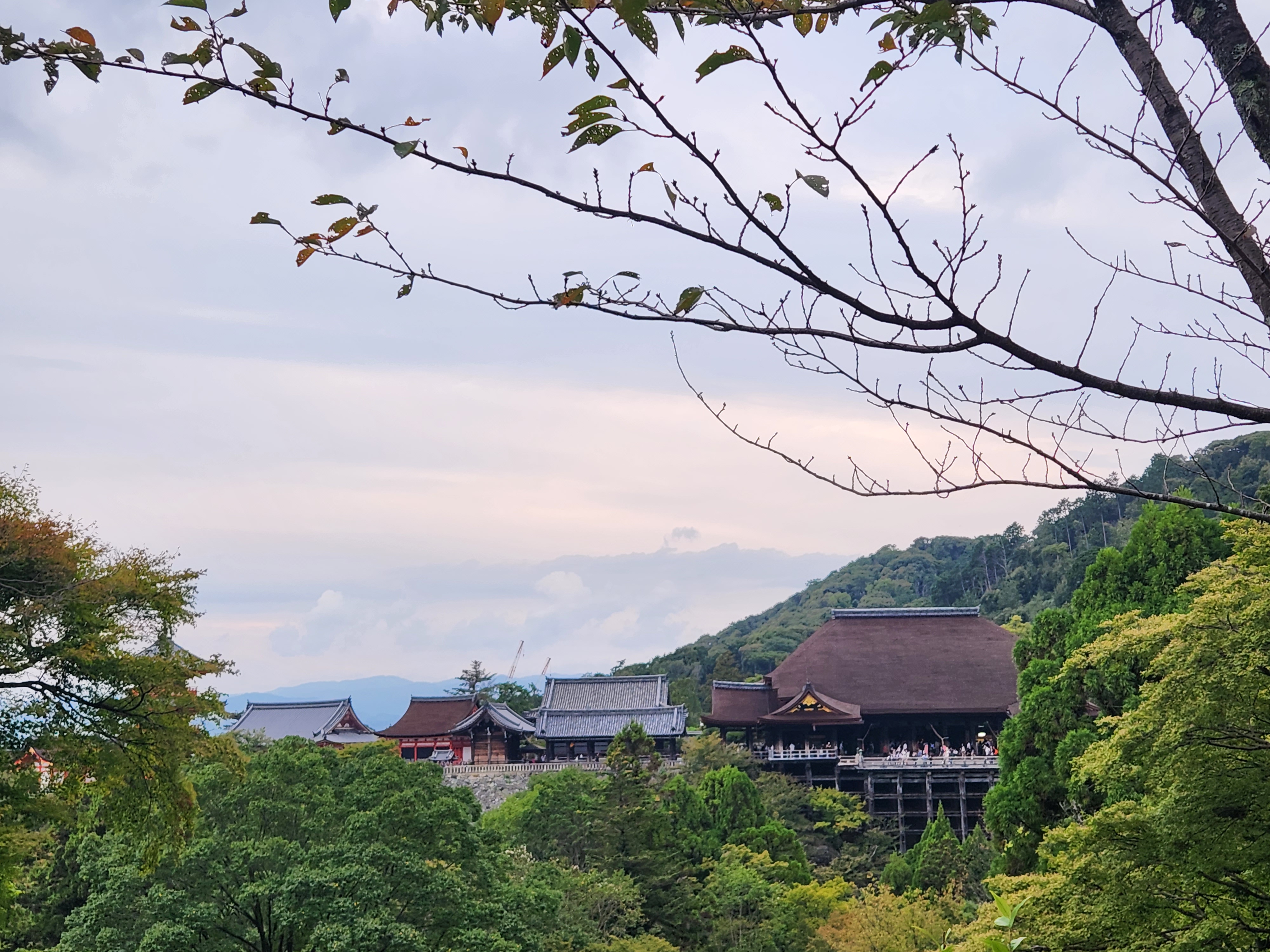 교토 여행 관련 사진