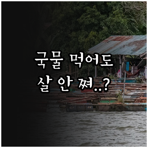 살 안 찌는 국물 요리 만들기 저염 ..