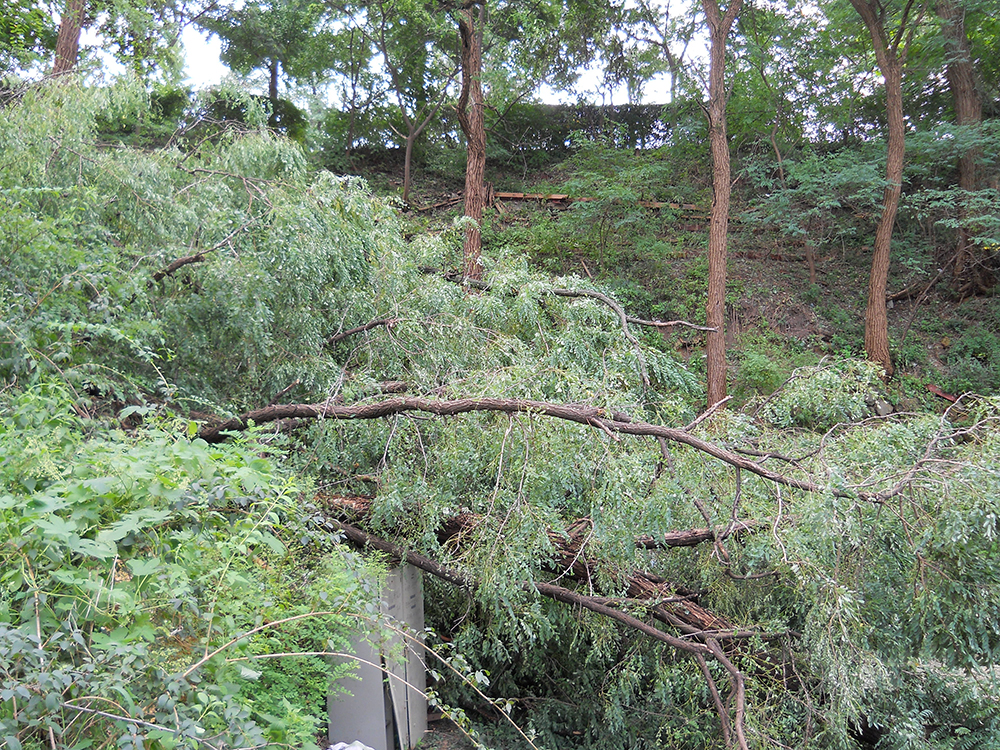 태풍이 지나간 홍제동 고은산(Goeunsan)