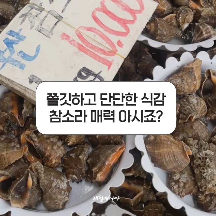소라찜