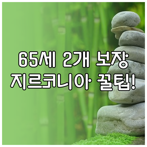 임플란트 건강보험 대상 만 65세 이..