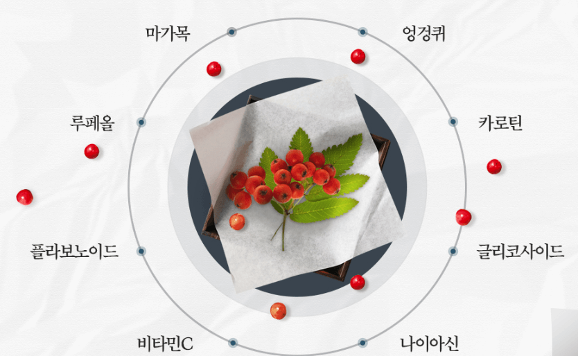마가목 효능
