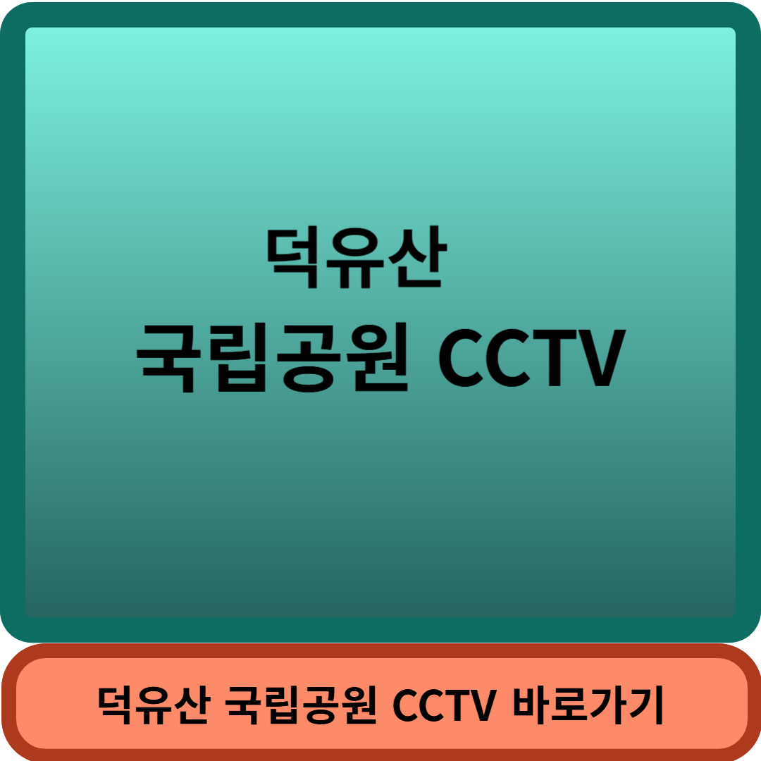 덕유산CCTV썸네일
